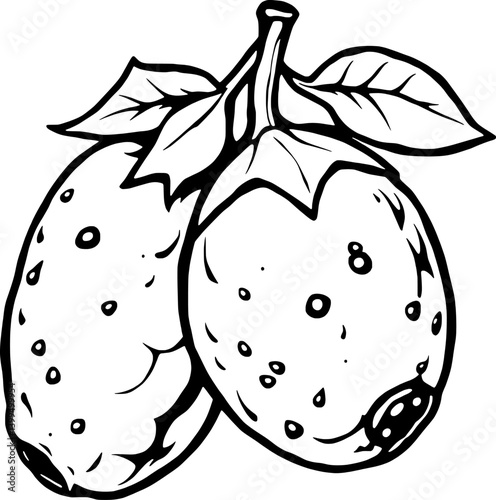 Line Art Illustration Of Two Prickly Pears With Leaves
