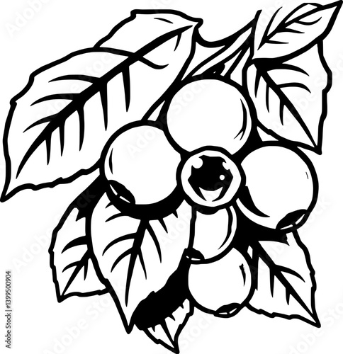 Cluster Of Coffee Beans On Branch With Lush Leaves