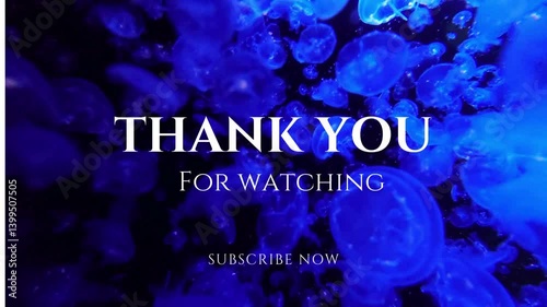 Thanks for Watching. Glitch Text Animation Effect on Old Interference Screen. 4K Video