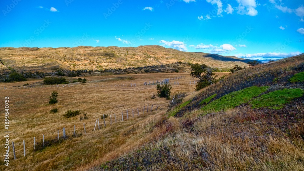 Obraz premium amazing patagonia nature in summer