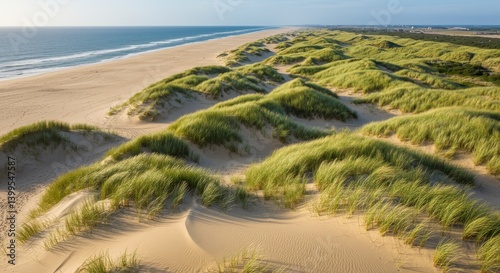 Coastal landscape scene photo