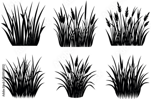 Decorative botanical grass silhouette vector for garden themes, summer prints, natural eco logos, and Cricut cut files | Downloadable in SVG, PNG, and EPS for versatile use