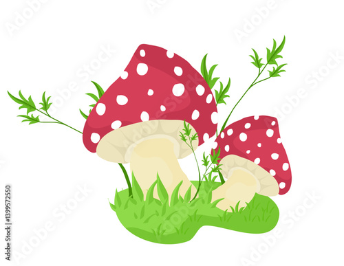 Mushrooms Illustration