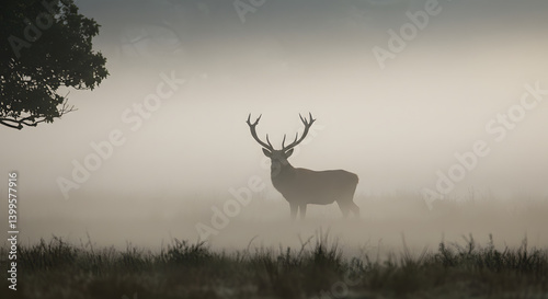 Deer standing calmly in a misty forest at dawn, displaying its subtle form and peaceful presence in a serene and atmospheric woodland environment during early morning.