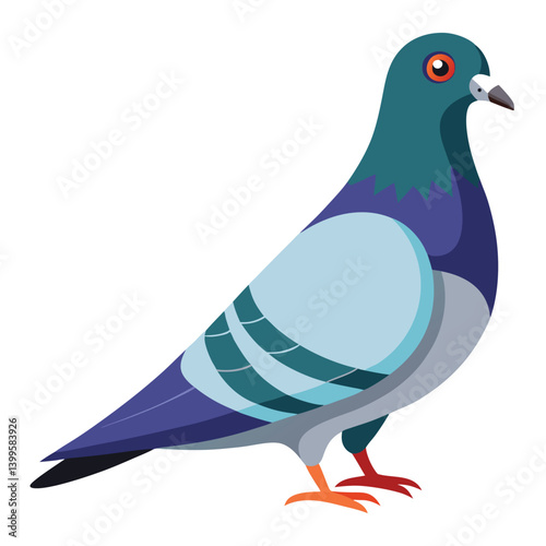 Pigeon isolated on white background 