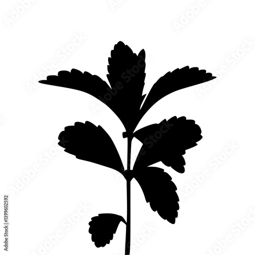 Mint Leaf Silhouette - Graphic Design Element