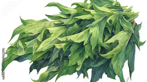 Fresh Greens Illustration
