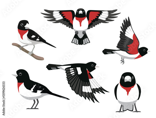 Rose-Breasted Grosbeak Bird Various Poses Cartoon Vector Character