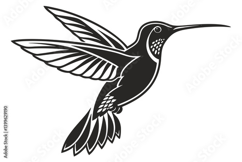 hummingbird vector illustration