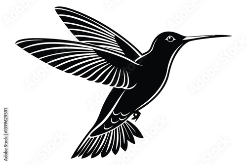 hummingbird in flight vector