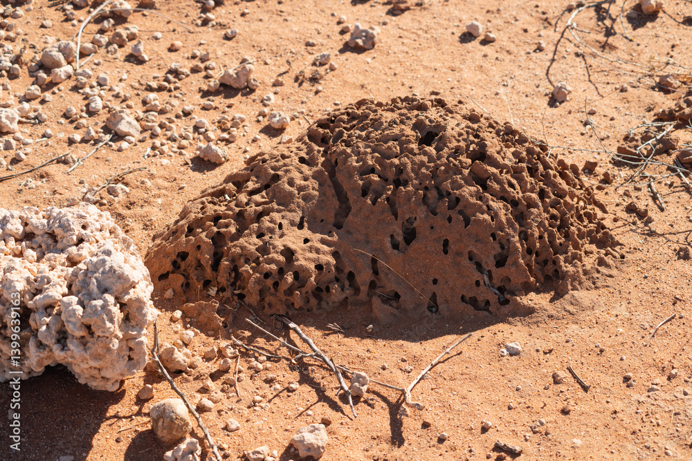 small termite mound