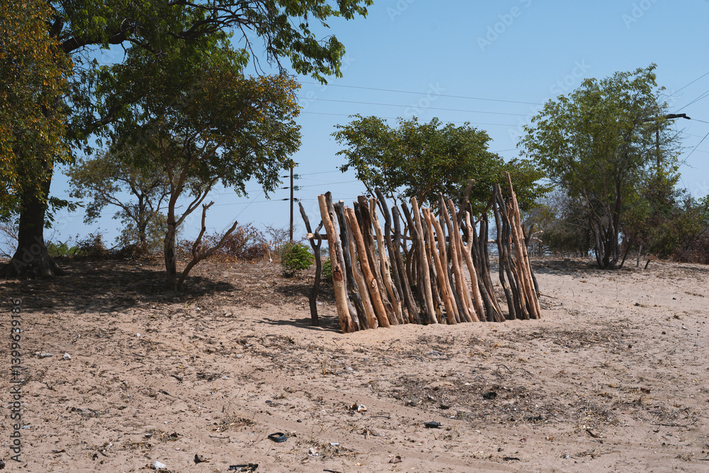 drying logs in Africa