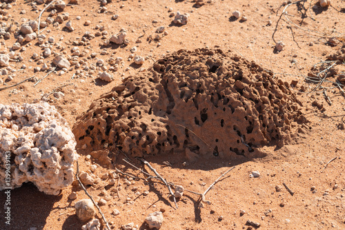 Obraz na płótnie small termite mound w salonie