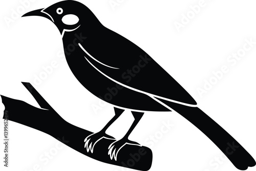 Beautiful honeyeater sitting forward on big branch silhouette black color vector illustration 