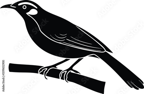 Beautiful honeyeater sitting forward on big branch silhouette black color vector illustration 