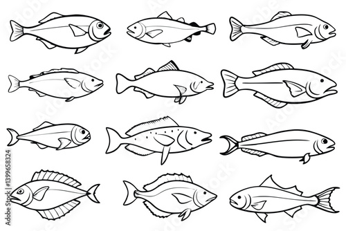 set of fish