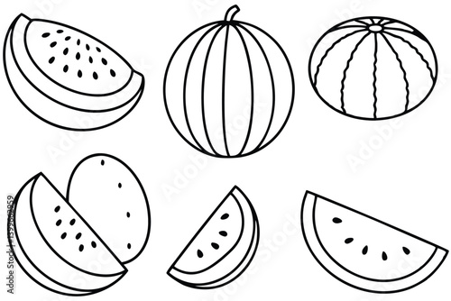 cantaloupe line art outline style healthy organic fruit