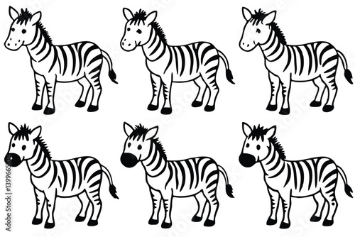zebra vector illustration
