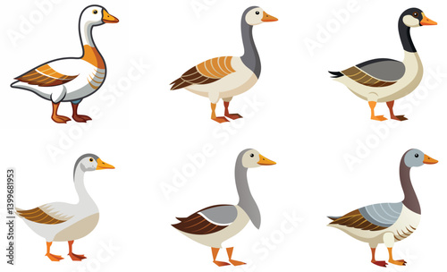 set of goose on white background
