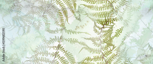 Fern__Back-06_03.eps