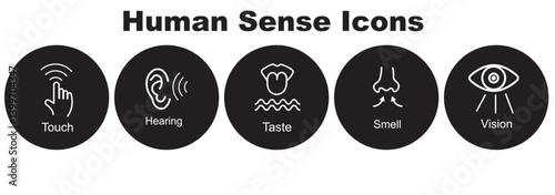 Human sense icons. Five human senses icons. Vision smell hearing touch taste senses fillings. Five fillings icons. Vector Illustration. Vector Graphic.