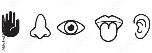 Human sense icons. Five human senses icons. Vision smell hearing touch taste senses fillings. Five fillings icons. Vector Illustration. Vector Graphic.