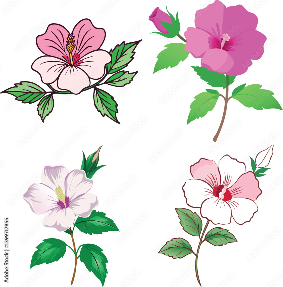Obraz premium Collection of Four Beautiful Hibiscus vector illustration Flowers with Buds and Leaves