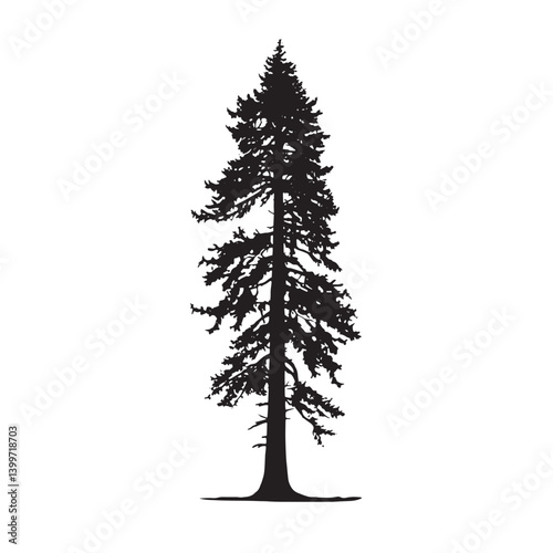 Silhouette of Towering Sequoia Tree for Print Use