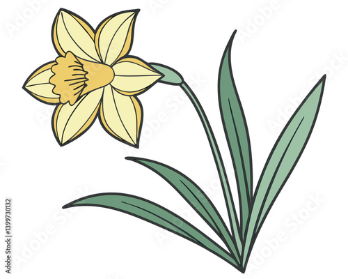 Bright yellow daffodil flower illustration with green leaves and stem. Cheerful golden daffodil drawing with trumpet-shaped corona and petals. 