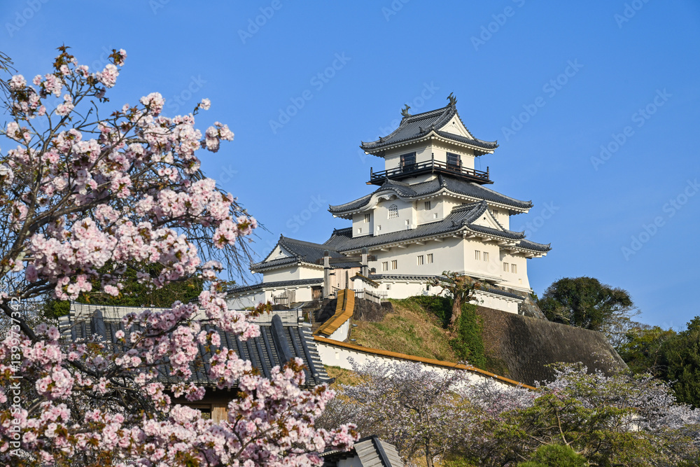 Fototapeta premium 掛川城・2025年4月