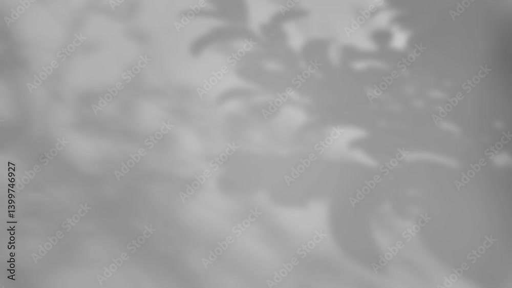 The shadow of a tree sways on a white background The shadow of a tree sways on a white background