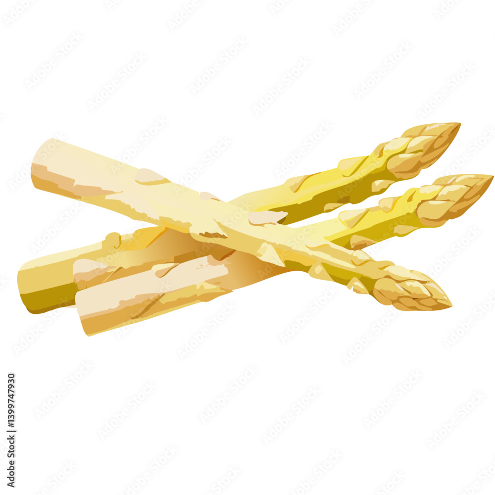 fresh white asparagus vector icon design