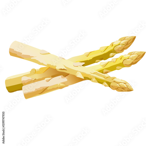 Obraz na płótnie fresh white asparagus vector icon design w salonie