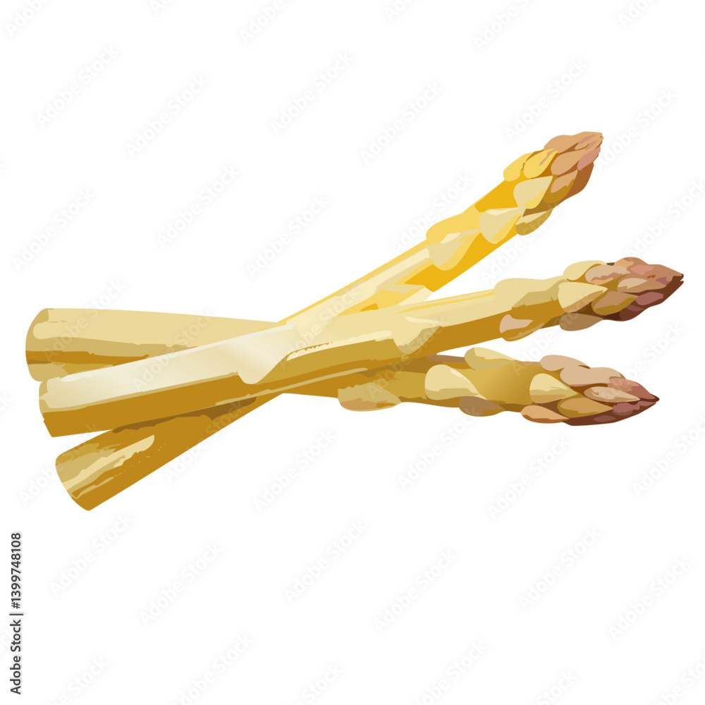 fresh white asparagus vector icon design