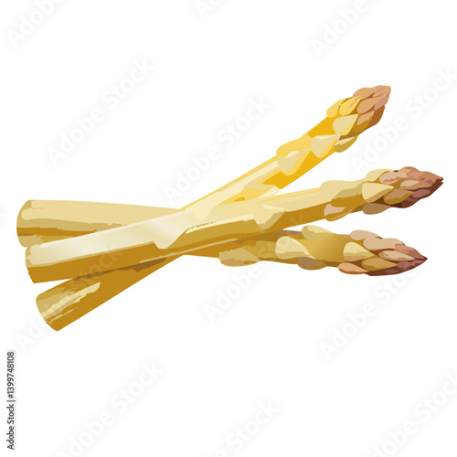 Obraz na płótnie fresh white asparagus vector icon design w salonie