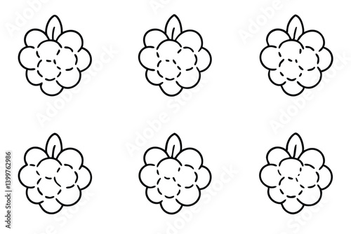 cloudberry line art smooth fluid linework botanical art