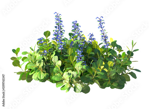 Various types of flowers grass bushes shrub and small plants isolated