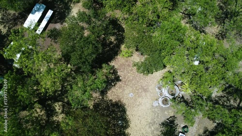 aerial turn over forest trees