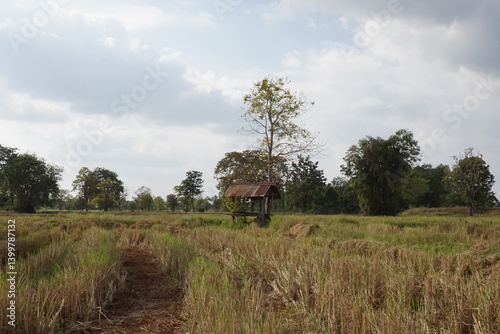 Obraz na płótnie Harvest season serenity rural landscape photography tranquil environment nature viewpoint w salonie