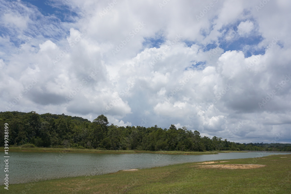 Refreshing riverbank scene lush greenery nature photography cloudy sky tranquil view