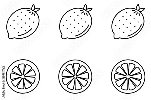 desert lime line art minimalist botanical illustration design