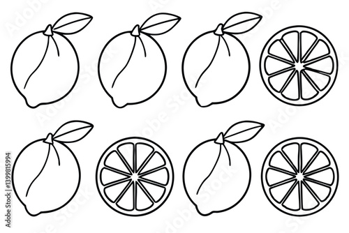 meyer lemon line art clean simple citrus fruit outline