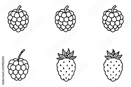 sea berry line art decorative herbal minimalist print