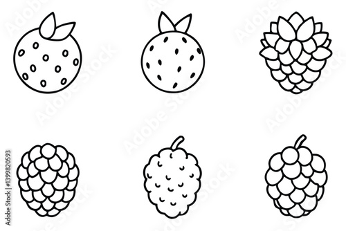 sea berry line art botanical nature sketch drawing