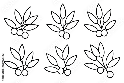sea buckthorn line art detailed natural herbal drawing