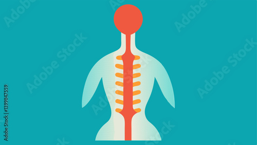 Stretched Spine Icon A stylized image of a human spine with highlighted sections accompanied by a visual cue illustrating the ideal posture versus slumped posture.