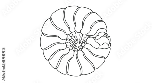 Rolled Up Pill Bug Coloring Sheet for Children Depicting Its Ball Formation