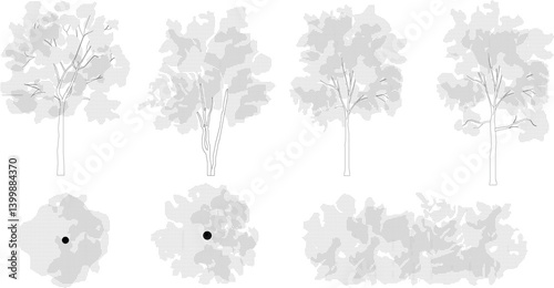Trees in elevation and plan view for use in architectural drawings