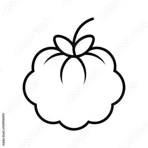 cloudberry fruit line art vector illustration