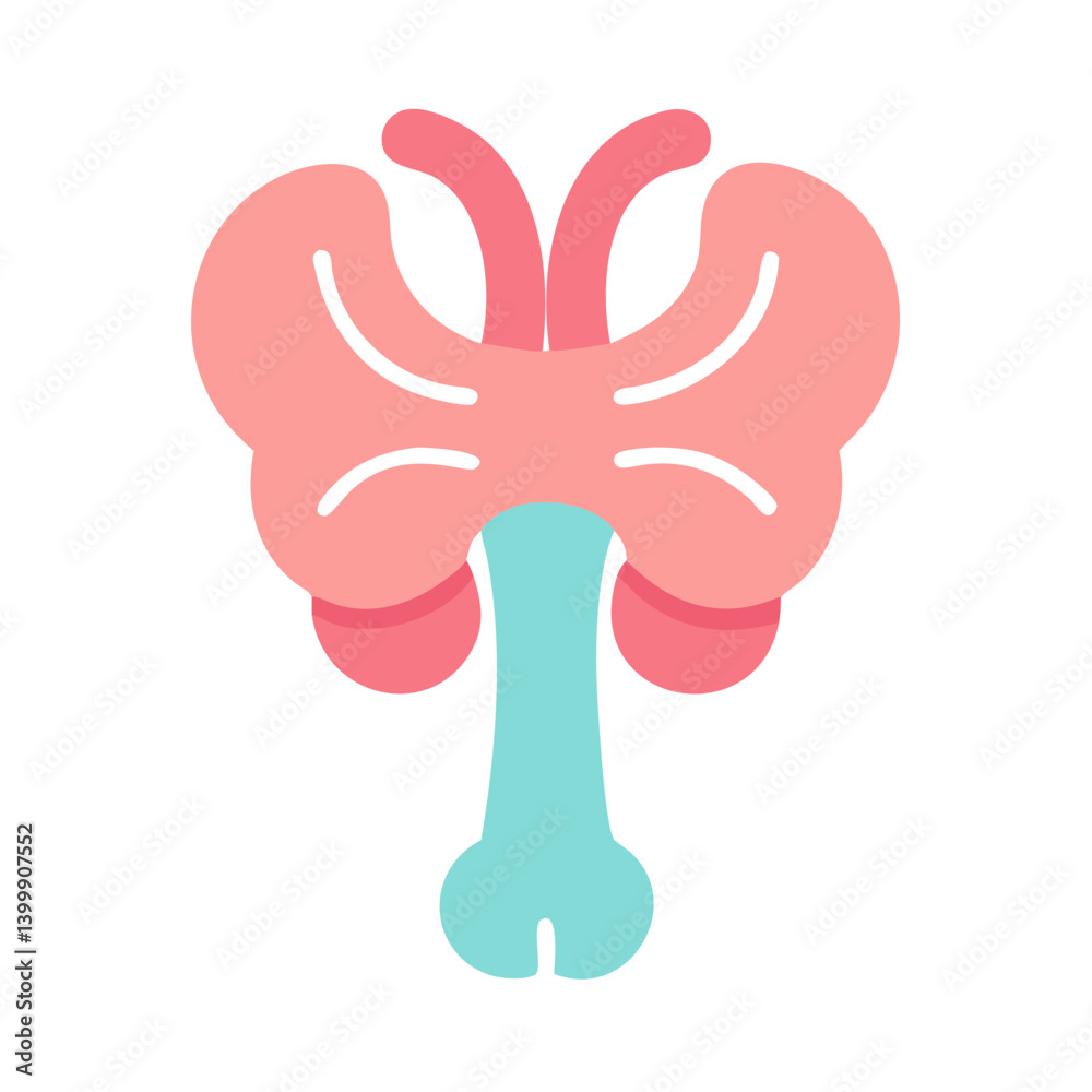 Fototapeta premium Brainstem Anatomy Icon Design